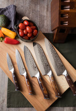 Load image into Gallery viewer, Essential 5 Piece Knife Set with Kitchen Shears
